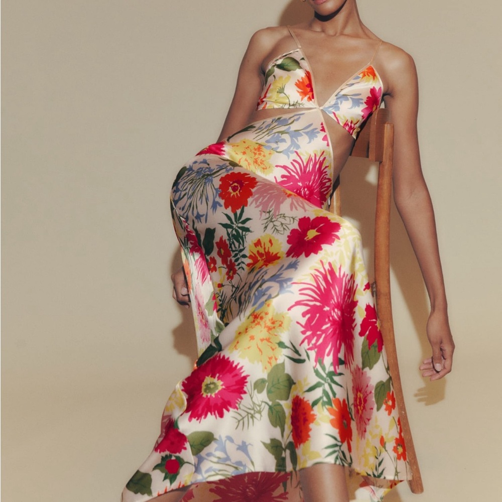 Poppies silk dress reformation